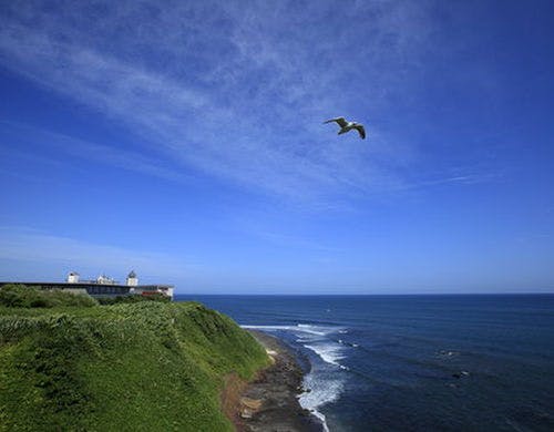 北海道【リゾートバイト】[登録制]旅バイトde最高の思い出を♪寮&食事0円【リゾートバイト】[登録制]